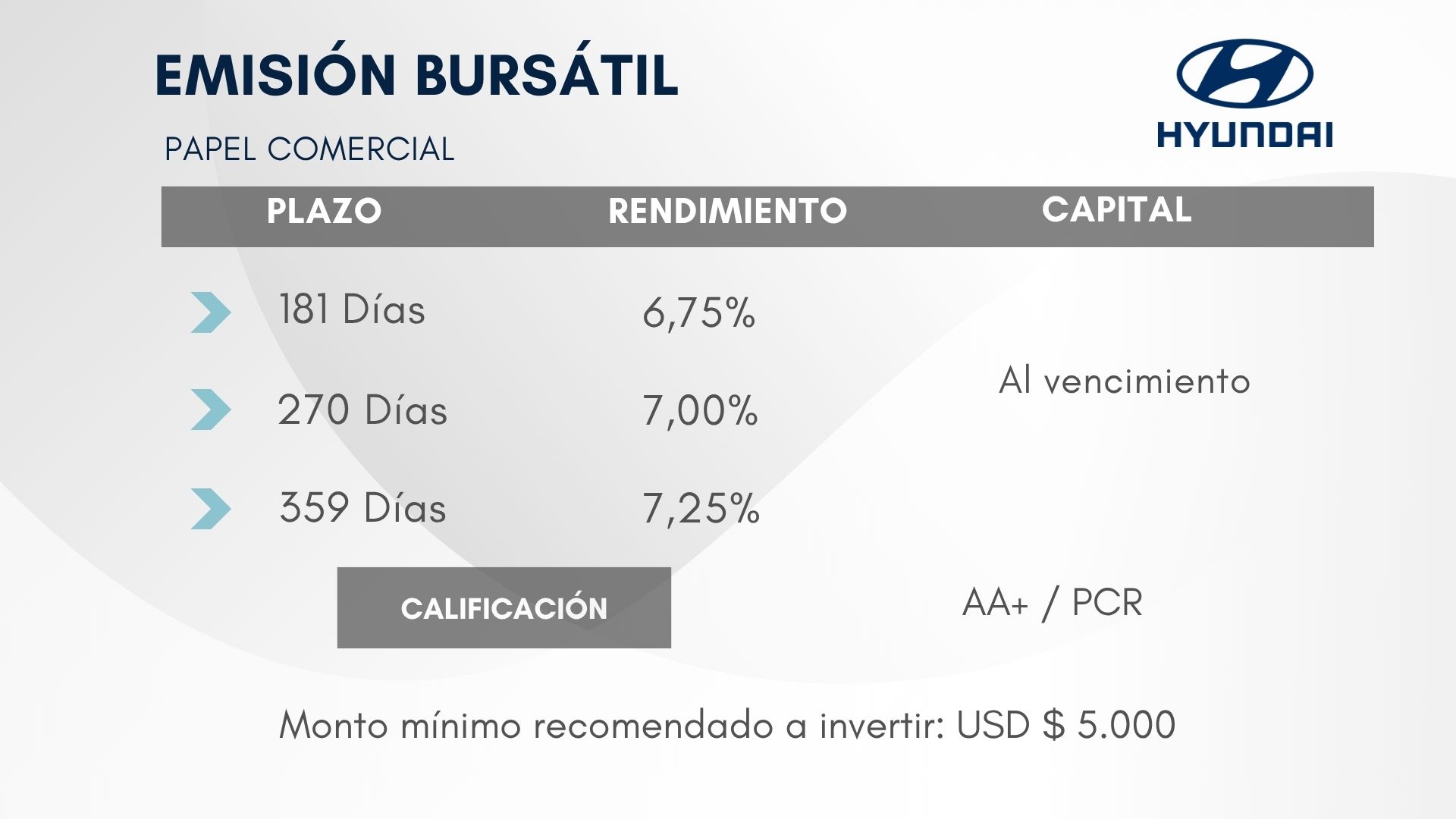 Emisión bursátil - Neohyundai